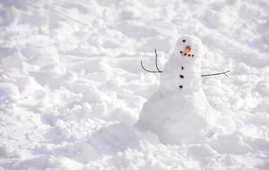 Hohe Winkelansicht des Schneemanns - EYF07014