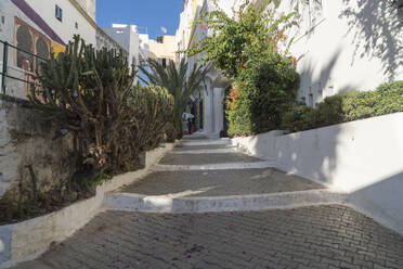 Marokko, Tanger-Tetouan-Al Hoceima, Tanger, Gasse in der historischen Medina - TAMF02296