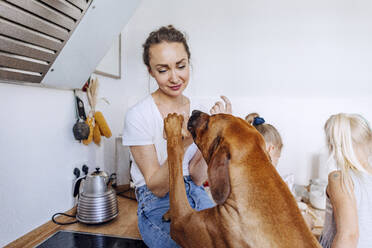 Hund, der sich auf eine Frau stürzt, die zu Hause über dem Küchentisch sitzt, von Mädchen - OGF00446