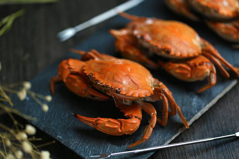 Fotos von gedämpften Krabben Essen - CAVF85524