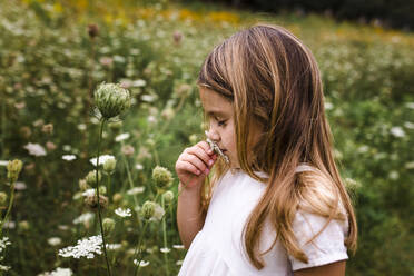 Girl Smelling Flowers in Field - CAVF85625