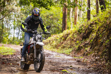 Mann fährt mit seinem Scrambler-Motorrad durch den Wald - CAVF85631