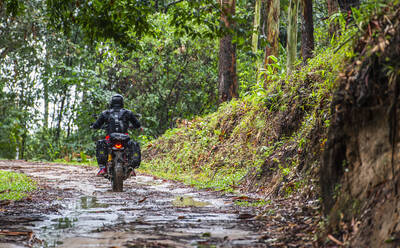Mann fährt mit seinem Scrambler-Motorrad durch den Wald - CAVF85640