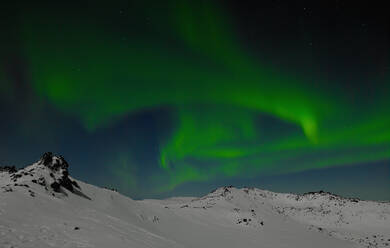 Das Nordlicht oder Aurora Borealis in Island - CAVF85654