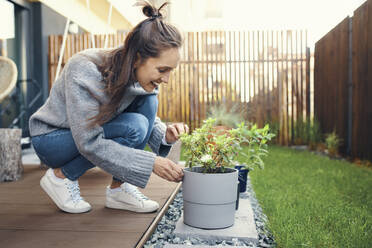Smiling young woman looking at potted plant in garden - BSZF01568