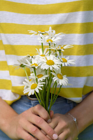 Close-up of young woman holding oxeye daisies in park stock photo