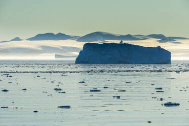 Icebergs floating in Hope Bay at dusk - RUNF03653