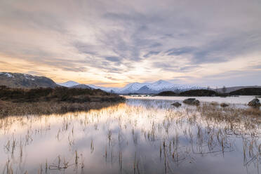 UK, Scotland, Lochan na h-Achlaise at sunset - SMAF01885