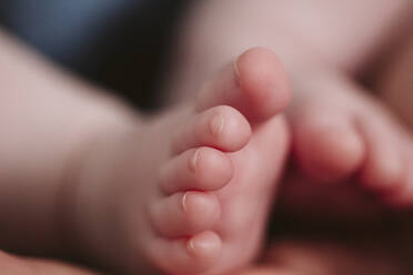 Extreme close-up of baby girl's feet - EBBF00189
