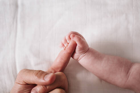 Die Hand eines kleinen Mädchens hält den Finger des Vaters auf einer weißen Decke - EBBF00199