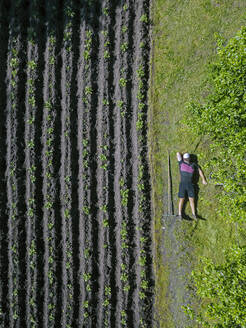 Luftaufnahme eines Mannes, der sich neben einem Kartoffelfeld entspannt - KNTF04724