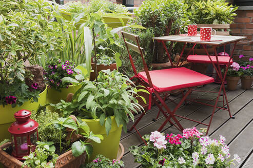 Balkon mit einer großen Auswahl an Kräutern und Blumen in Töpfen - GWF06597