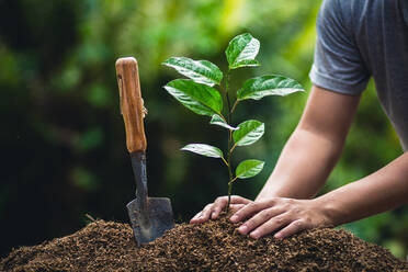 Midsection Of Woman Planting By Shovel On Field - EYF07315