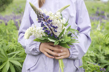 Crop view of girl standing in front of flower field holding bunch of lupines - EYAF01172