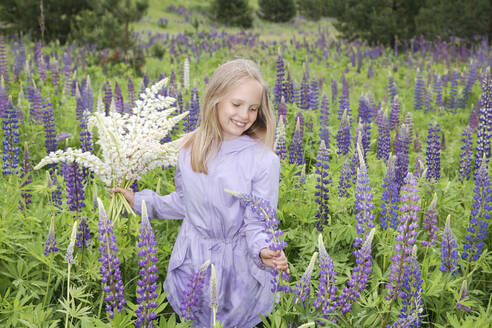 Porträt eines glücklichen Mädchens mit lila Mantel, das Lupinen auf einem Feld pflückt - EYAF01174