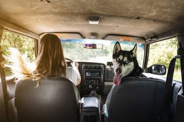 Frau mit zerzaustem Haar fährt, während Husky auf dem Sitz im Fahrzeug sitzt - JCMF00893