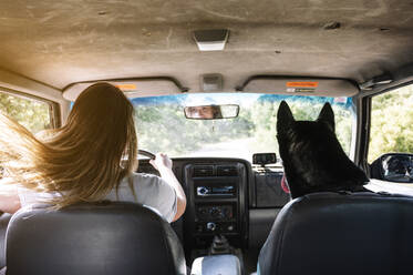 Frau mit zerzaustem langem blondem Haar fährt mit Husky auf Road Trip - JCMF00894