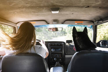 Woman with tousled long blond hair driving by husky on road trip - JCMF00894