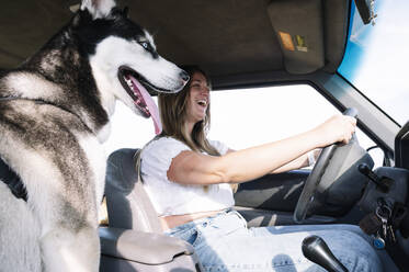 Fröhliche Frau genießt die Fahrt mit einem Husky auf einer Autoreise - JCMF00901