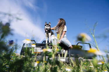 Frau streichelt Husky, während sie auf der Motorhaube sitzt und gegen den Himmel fährt - JCMF00909