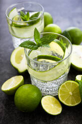 Gin tonic with lemon, mint and cucumber - GIOF08436