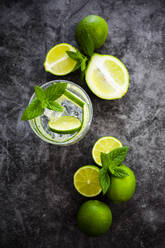 Gin tonic with lemon, mint and cucumber - GIOF08438