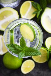 Gin tonic with lemon, mint and cucumber - GIOF08440
