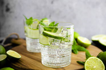 Gin tonic with lemon, mint and cucumber - GIOF08442