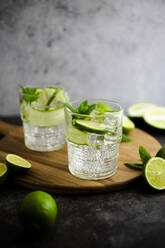 Gin tonic with lemon, mint and cucumber - GIOF08443