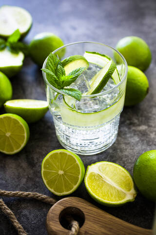 Gin Tonic mit Zitrone, Minze und Gurke, lizenzfreies Stockfoto