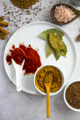 Paprika, Currypulver, rosa Salz und Koriandersamen sowie Lorbeerblätter, Muskatnuss und Zimt - GIOF08454