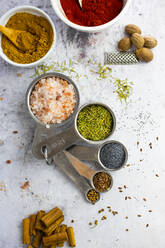 Pink salt, rosemary, poppy seeds, flax seeds, coriander seeds, cinnamon, nutmeg, curry powder, paprika - GIOF08458