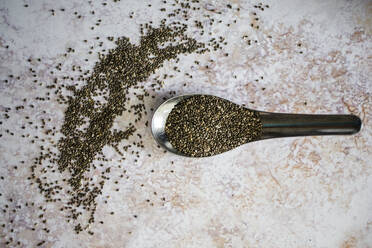 Spoon of chia seeds - GIOF08475