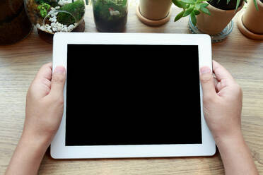 Cropped Image of Woman Holding Blank Digital Tablet At Table - EYF07434