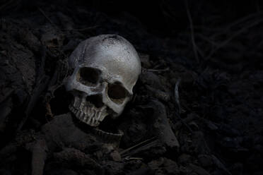 Close-Up Of Human Skull - EYF07519