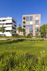 Germany, Baden-Wrttemberg, Heilbronn, Neckar, district of Neckarbogen, New energy efficient apartment buildings - WDF06066