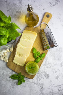 Pesto mit Knoblauch und Basilikum und Grana-Käse und Olivenöl - GIOF08487