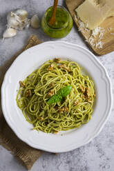 Spaghetti with pesto, walnut, basil and chilli and grana cheese - GIOF08501