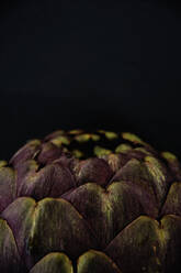 Studio shot of head of fresh artichoke (cynara scolymus) - AXF00842