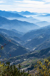 Taiwan, Bezirk Nantou, Bergtal in der nebligen Morgendämmerung - RUNF03665