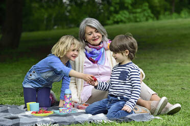 Girl giving strawberry to brother while sitting with grandmother at park - ECPF00967