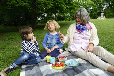 Grandmother enjoying picnic with grandchildren at public park - ECPF00968