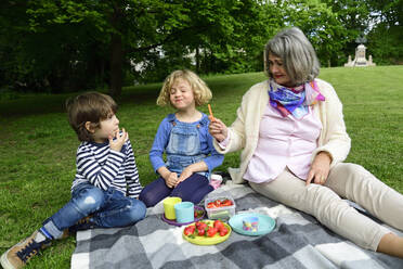 Großmutter genießt Picknick mit Enkelkindern im öffentlichen Park - ECPF00968