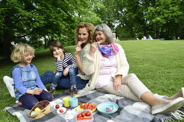 Familie der dritten Generation beim Picknick in einem öffentlichen Park - ECPF00972