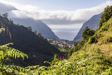 Portugal, Sao Vicente, Dorf auf der Insel Madeira im Sommer - WDF06081