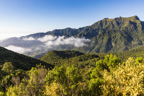 Portugal, Sao Vicente, Bewaldetes Bergtal im Sommer - WDF06083