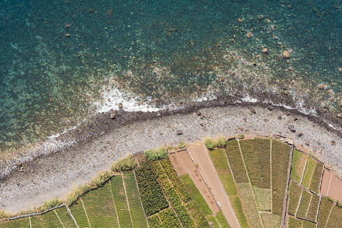 Portugal, Küstenstrand und landwirtschaftliche Felder von der Spitze des Cabo Girao Kliffs aus gesehen - WDF06100