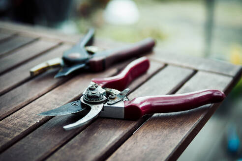 Close-Up Of Pruning Shears On Table - EYF07607