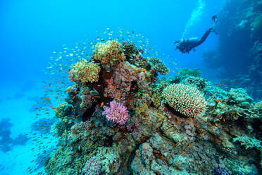 Low Angle View Of Person Swimming In Sea - EYF07680