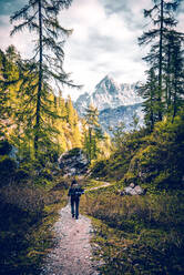 Rear View Of Man Hiking In Forest - EYF07709